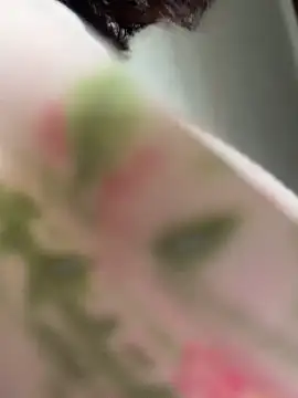 wy2026 online show from April 12, 3:21 am