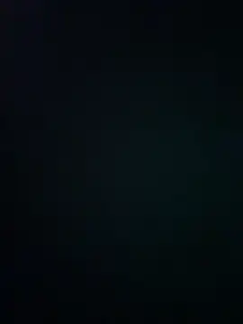 wy2026 online show from March 12, 7:29 pm