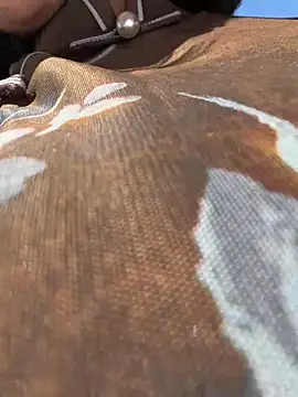 wy2026 online show from April 10, 5:25 am