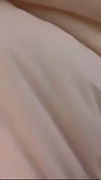 wy2026 online show from March 1, 3:50 am