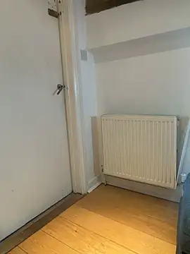 AliceDx online show from January 18, 11:02 am