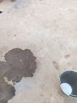 sarmila sexy1 online show from January 7, 11:37 am