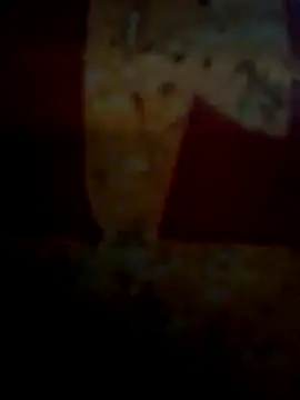 Snapshot of CockForPussy1508 chatting on February 10, 6:45 am CockForPussy1508 online show from February 10, 6:45 am