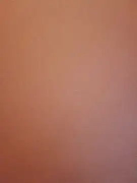 Apple Orange 22 online show from January 10, 8:42 am