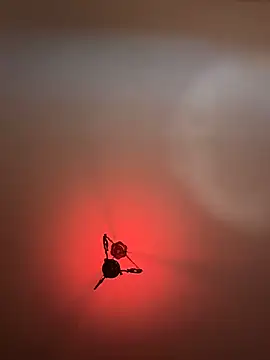 Snapshot of witchdub chatting on February 24, 2:07 pm witchdub online show from February 24, 2:07 pm