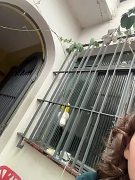 witchdub online show from June 9, 3:24 pm