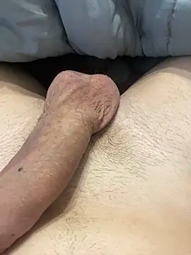 Snapshot of misteryboi chatting on February 6, 4:47 pm misteryboi online show from February 6, 4:47 pm