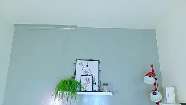 Dulcesexy   online show from July 15, 6:04 pm