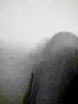 Scook Gray  online show from April 8, 6:09 pm