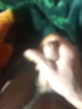 molzaba22cm online show from March 14, 3:01 am