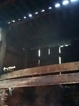 miray- online show from March 13, 10:31 am