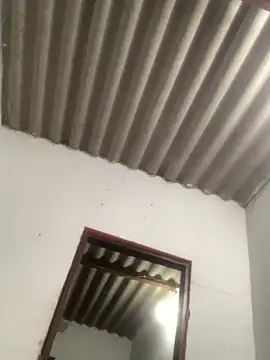 GeorgiandCoi online show from March 28, 9:21 am