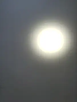 roksa2026 online show from January 14, 8:07 am