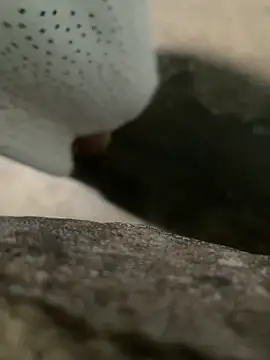 Ginny 2x online show from March 7, 9:31 pm