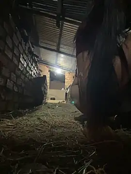 Ginny 2x online show from February 25, 2:06 pm