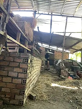 Ginny 2x online show from February 20, 6:26 am