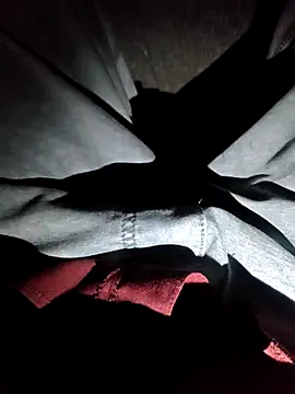 Ravi Free Fire online show from January 9, 5:47 am