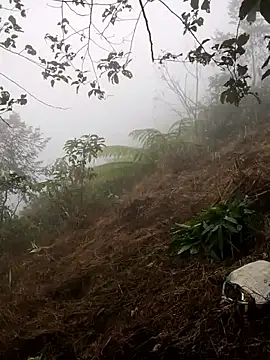 Snapshot of cdyyds-69 chatting on January 15, 1:53 am cdyyds-69 online show from January 15, 1:53 am