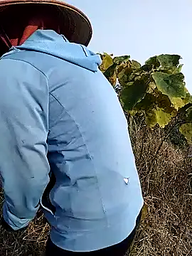 Snapshot of waaini99 chatting on January 12, 1:56 am waaini99 online show from January 12, 1:56 am