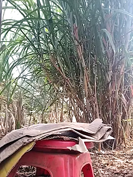 leona118 online show from April 3, 1:01 am