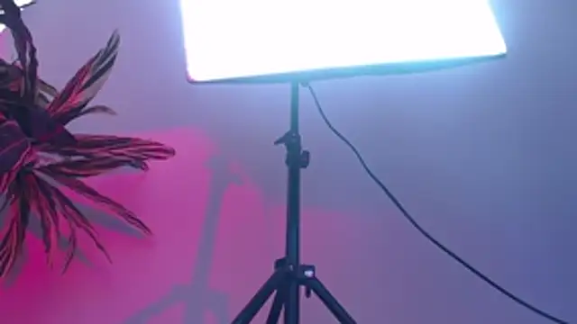 KimiNaru online show from March 3, 4:25 pm