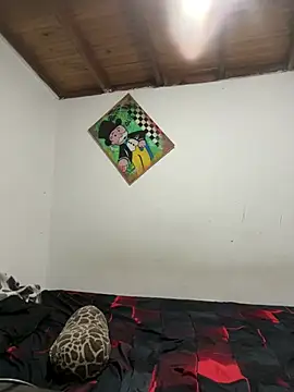 ehc1312 online show from January 10, 9:04 am