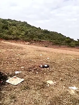 telugu026 online show from January 12, 4:30 am