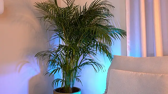 Tinydoll XO online show from February 9, 3:32 pm