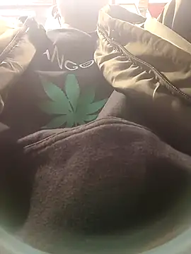 dildarlund online show from January 9, 1:51 pm