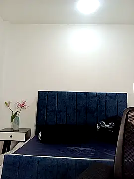 Dante Knox online show from February 6, 11:50 am