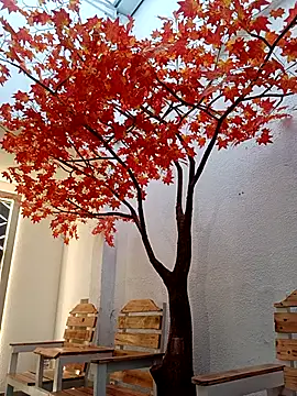 Dante Knox online show from March 22, 11:23 am