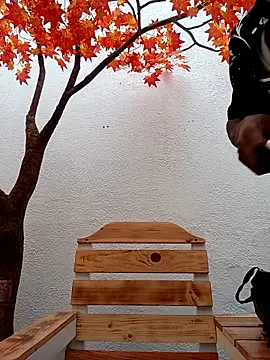 Dante Knox online show from February 15, 11:53 am