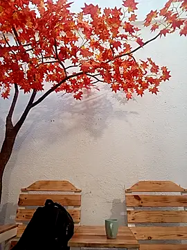 Dante Knox online show from April 17, 11:24 am