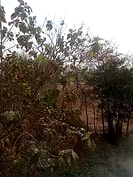 Snapshot of DesiPlayboy09 chatting on February 22, 8:28 am DesiPlayboy09 online show from February 22, 8:28 am