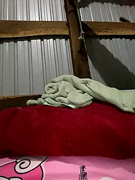 Xo xo237 online show from January 12, 1:56 am