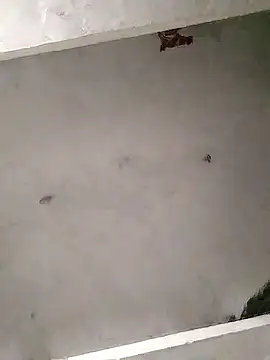 Mafiya0102 online show from January 16, 5:50 pm