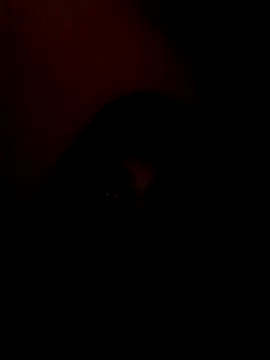 arushi bb online show from January 15, 3:37 pm