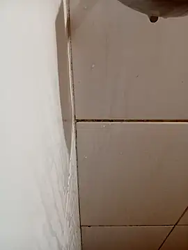 gordaomg42 online show from January 11, 12:34 pm