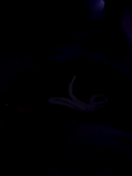 80julien online show from February 13, 2:28 pm