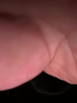 ForagingZealand online show from January 13, 2:37 am