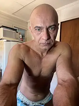 dogfrota online show from February 4, 3:07 pm