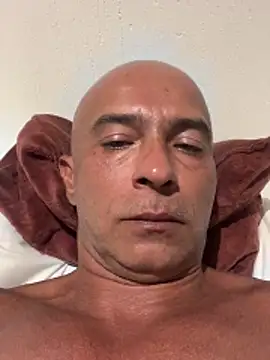 dogfrota online show from February 21, 3:41 am