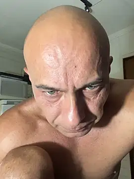 dogfrota online show from February 5, 3:13 am