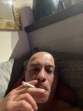 dogfrota online show from January 11, 7:04 am