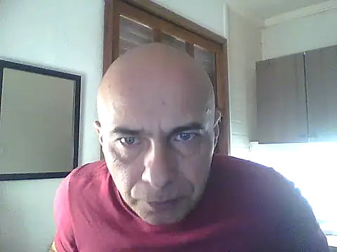 dogfrota online show from May 29, 6:14 pm