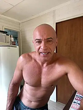 dogfrota online show from February 10, 2:27 pm