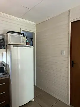 dogfrota online show from March 4, 2:58 pm