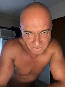 dogfrota online show from March 7, 3:35 am