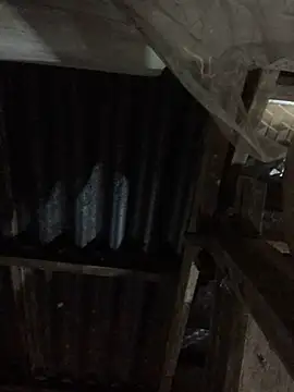 sun-shii online show from March 30, 10:55 pm