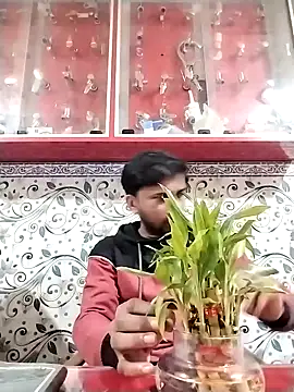 studio-my online show from February 11, 3:12 pm